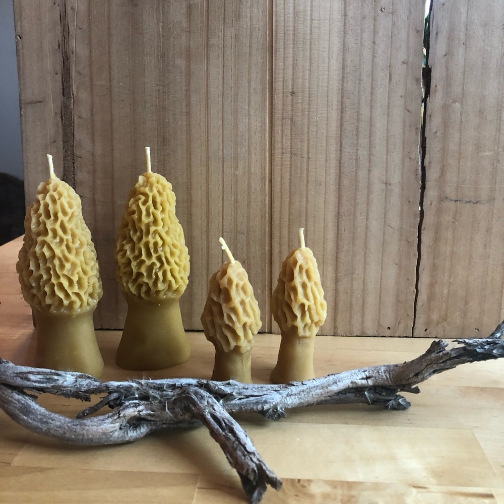 Morel Mushrooms 100% Beeswax Candles